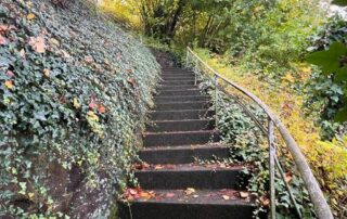 WertVoll-Haushaltsaufloesungen_Treppe